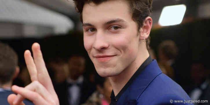 Shawn Mendes' Foundation Co-Launches Global Citizen Academy, Providing $250,000 in Need-Based Scholarships