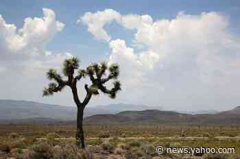 Death Valley sets record for planet's hottest temperature in years