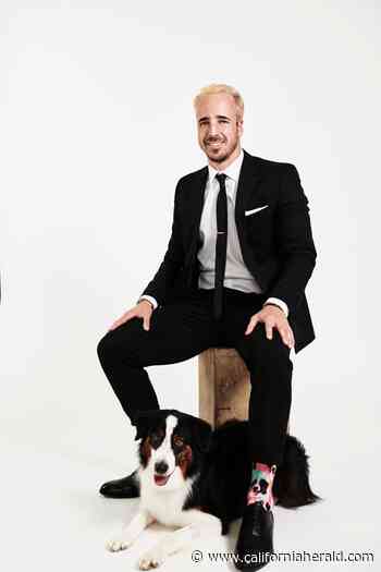 Famous and Influential Entrepreneur Todd Stephenson Is Shining High With His Unique Business Pupsocks - California Herald