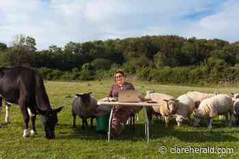 Entrepreneur's product to help companies attract staycationers - The Clare Herald