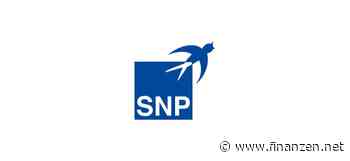 SNP mit Umsatzsprung im zweiten Quartal - Softwaregeschäft treibt