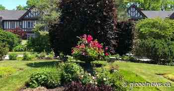 Backyard Oasis: Communal garden in Toronto offers residents beauty, stress relief - Globalnews.ca