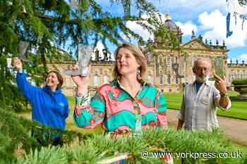 New artwork to help raise awareness of Cancer support