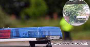 West End family slam 'scum' caught on camera stealing from them