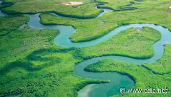 WEF: Invest in nature-led Covid-19 recovery to reap $10trn economic opportunity