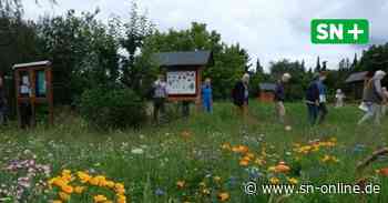Insektenschaugarten „Melissa“ in Rinteln ist bereit für Besuche - Schaumburger Nachrichten
