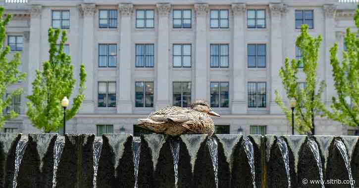 Utah state employee directory back online after security update
