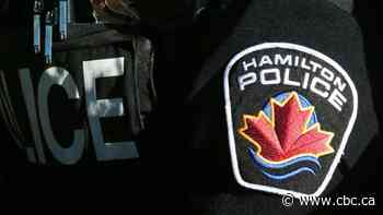 Police, Hamilton mayor decry 'unfair' cartoon depicting law enforcement's treatment of people of colour