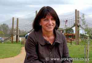 "We're down to our last few pounds" - York play park owner