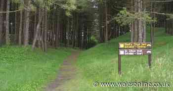 Alleged sex assault on six-year-old in country park