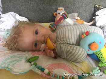 2,2 miljoen euro zijn binnen, Jayme (1) kan behandeld worden: ‘Onvoorstelbaar dankbaar’