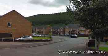 Woman punched police officer in the face after being spared jail