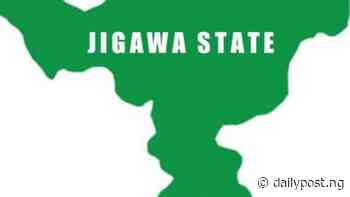 Jigawa approves one year tax payment holiday to business owners - Daily Post Nigeria