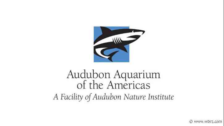 Audubon Aquarium in New Orleans reopens after 4 month closure