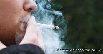 'To stop smoking outside pubs will kill the trade off completely'