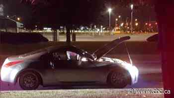 Police charge 19-year-old man after car makes 'excessive noise' in Vaughan