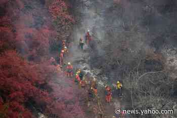 Climate change, COVID-19 stoke wildfire's economic risk, Fed says
