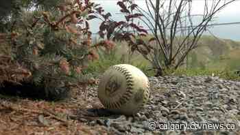 COVID "strikes out" Lethbridge slo-pitch season - CTV News