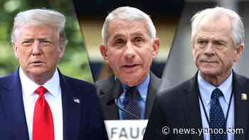 Fauci on White House campaign to discredit him: 'It's only reflecting negatively on them'