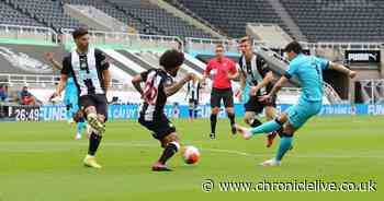Newcastle United defenders slammed after Son Heung-min gives Tottenham