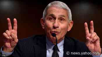 Coronavirus: US disease chief Dr Anthony Fauci calls White House attacks 'bizarre'