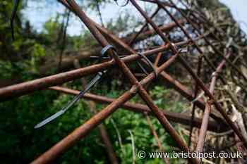 Five years on - Bristol's anti-plastic whales have their own plastic secret