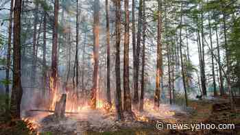 Climate change: Siberian heatwave 'clear evidence' of warming