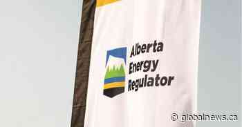 Premier Jason Kenney’s former campaign manager gets senior post with Alberta Energy Regulator