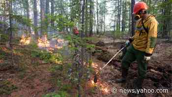 Climate change: Siberian heatwave 'clear evidence' of warming