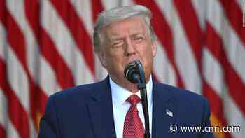 The 45 most incoherent lines from Trump's rambling Rose Garden speech