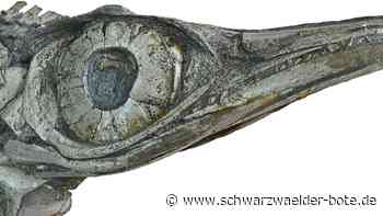 Dotternhausen: Neuer Fischsaurier ausdem Museum - Dotternhausen - Schwarzwälder Bote