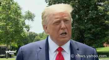 Trump says Navarro shouldn’t have written op-ed criticizing Fauci