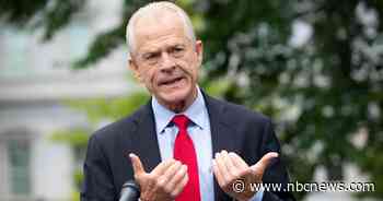 Meadows wanted to cease fire on Fauci. Navarro had other plans.