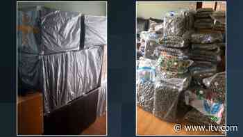 Over £2m of cannabis seized by police in Belfast raids | ITV News - ITV News