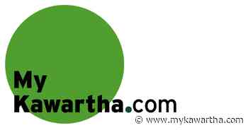Hundreds more Kawartha Lakes students to get own personal computer - mykawartha.com