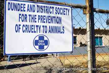 Don't furget about the animals during this time - Northern Natal Courier