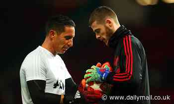 'I wanted to stop coaching De Gea': Ex-United coach Alvarez accuses No 1 of a 'lack of loyalty' - Daily Mail