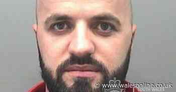 Deported criminal came to Wales 'to be with his girlfriend' - Wales Online