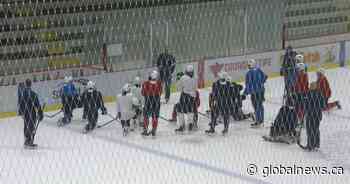Cup quest back on for Winnipeg Jets after 4-month hiatus - Globalnews.ca