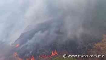 Desalojan a 60 pobladores por incendio en Tepoztlan - La Razon