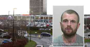 Disqualified driver stole Sainsbury's van and then crashed into a tree