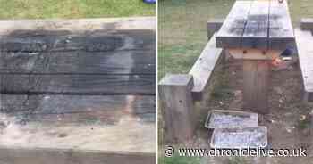 Shocking pictures show picnic bench destroyed by barbecue