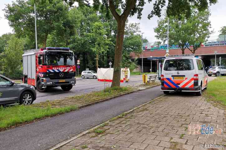 Loslopend paard aangereden door vrachtwagen in Bennekom