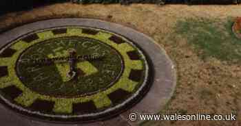 Remembering Swansea’s old floral clock which is now in someone's garage