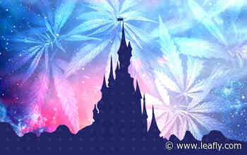 How Disney and other theme parks handle medical marijuana and CBD - Leafly