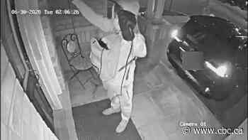 Car theft caught on video shows high-tech thieves stealing Lexus in seconds