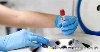 ‘No assumption’ coronavirus vaccine will be available in the immediate future