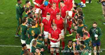 South Africa media name best world XV from past year and snub every Wales player