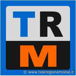 Beccati con bilancini, trita erba e spinelli pronti all'uso: due 18enni di Ripalimosani in manette - teleregionemolise.it