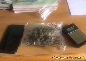 Erba confezionata e venduta al parchetto di Carnago, nei guai un 16enne - Varesenews